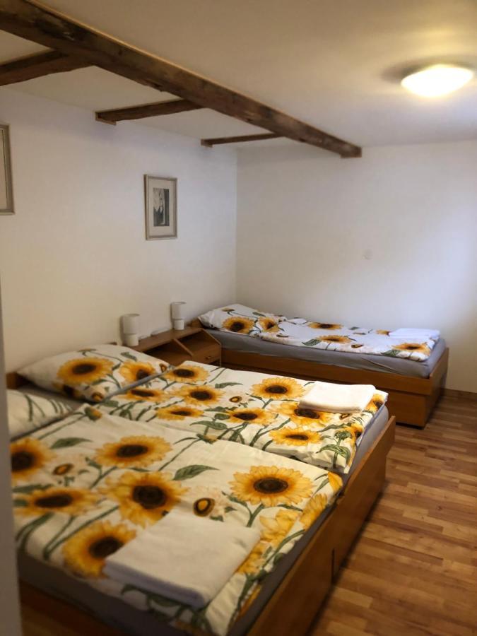 Appartement U Monka à Jáchymov Extérieur photo